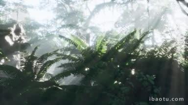 <strong>雨林</strong>里被明亮的绿色苔藓覆盖的图片